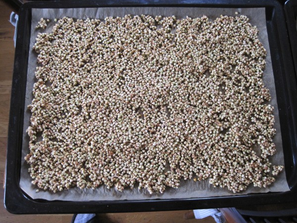 Photo of buckwheat spread out on tray